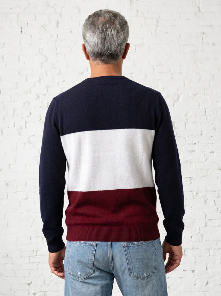 pull col rond homme tricolore merinos cachemire clovis